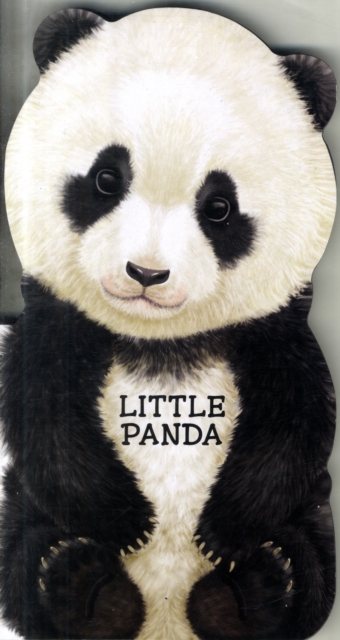 Little Panda, Hardback Book