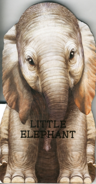 Little Elephant, Board book Book