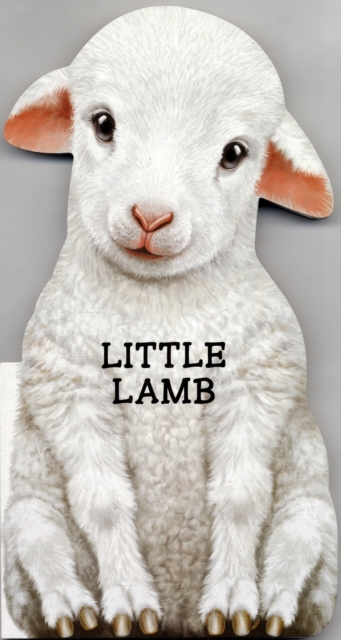 Little Lamb : Look at Me, Board book Book