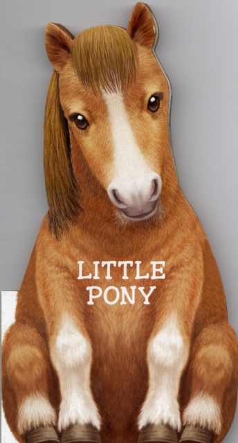 Little Pony : Look at ME, Board book Book