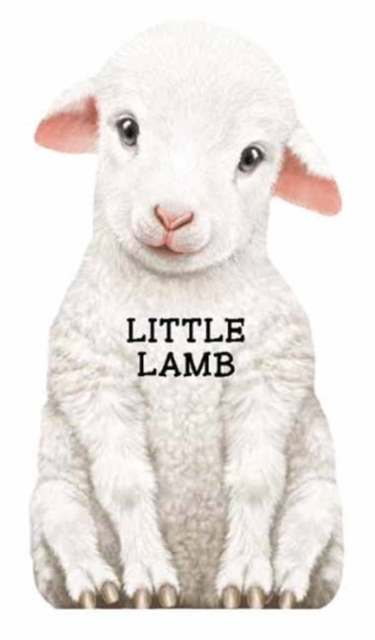 Little Lamb : Mini Look at Me Books, Board book Book