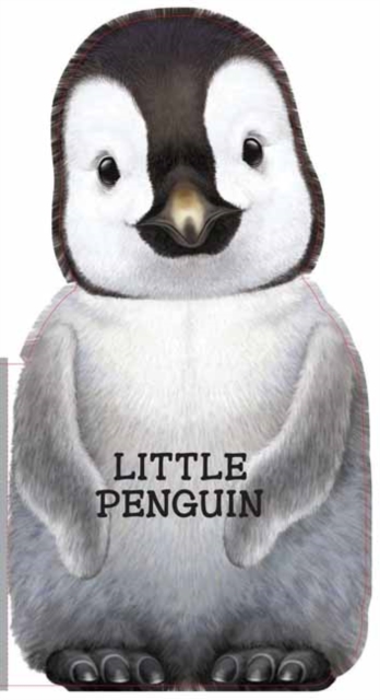 Little Penguin : Mini Look at Me Books, Board book Book