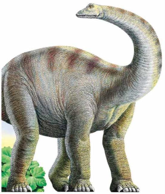 Diplodocus : Diplodocus, Board book Book