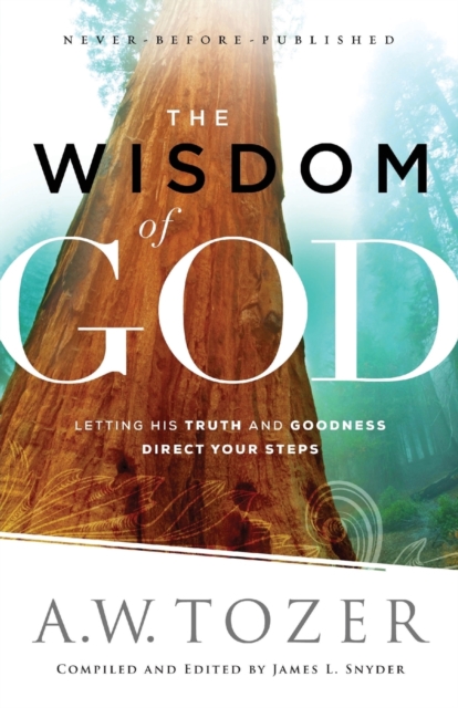 The Wisdom of God - Letting His Truth and Goodness Direct Your Steps, Paperback / softback Book