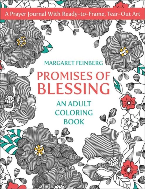 Promises of Blessing : An Adult Coloring Book, Paperback / softback Book