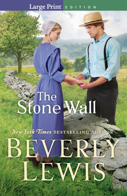 The Stone Wall, Paperback / softback Book