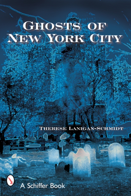 Ghosts of New York City, Paperback / softback Book