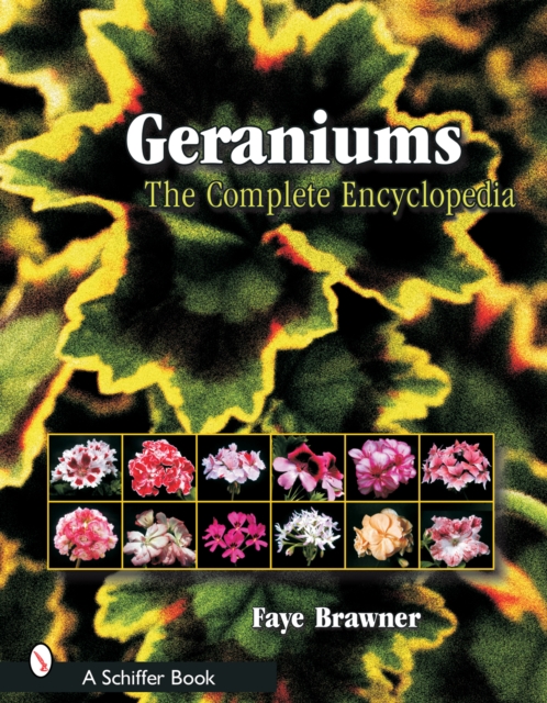 Geraniums : The Complete Encyclopedia, Paperback / softback Book