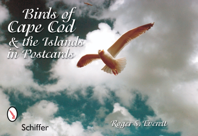 Birds of Cape Cod and the Islands in Postcards, Postcard book or pack Book