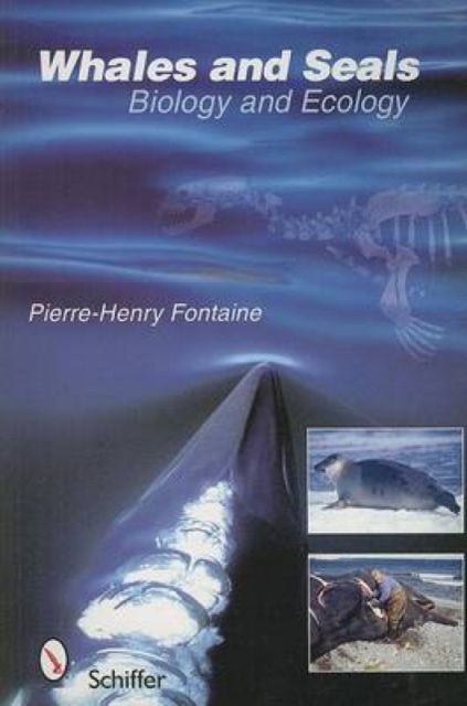 Whales and Seals : Biology and Ecology, Paperback / softback Book