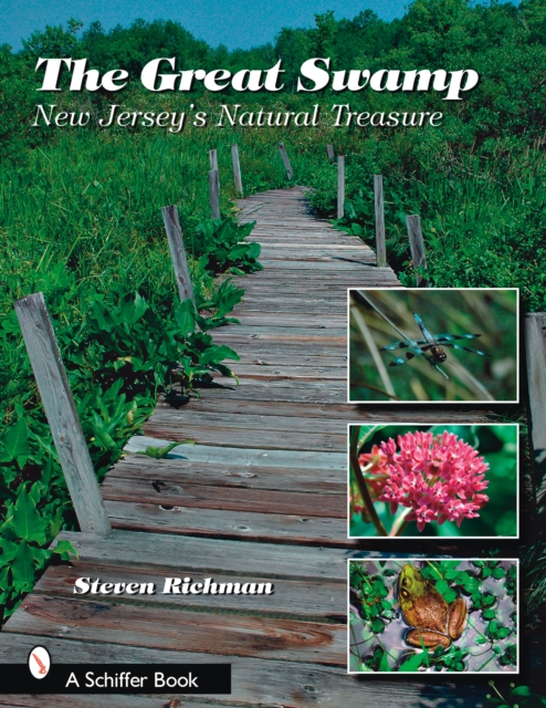 The Great Swamp : New Jersey's Natural Treasure, Paperback / softback Book