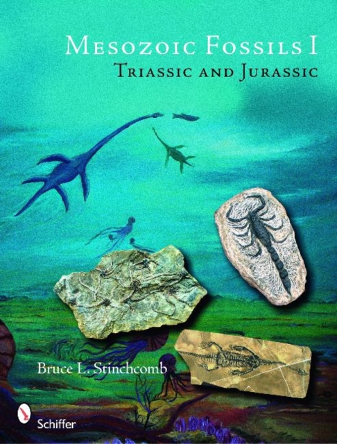 Mesozoic Fsils: Triassic and Jurassic, Paperback / softback Book