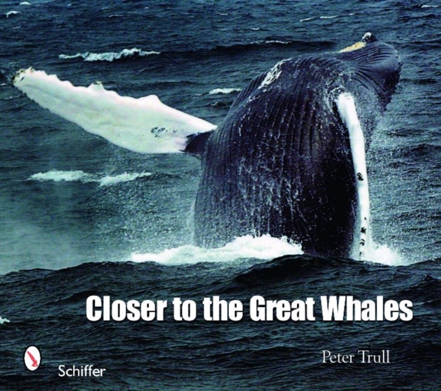 Closer to the Great Whales, Paperback / softback Book