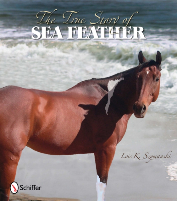 The True Story of Sea Feather, Paperback / softback Book