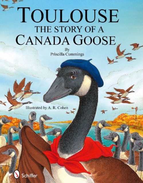 Toulouse : The Story of a Canada Goose, Hardback Book