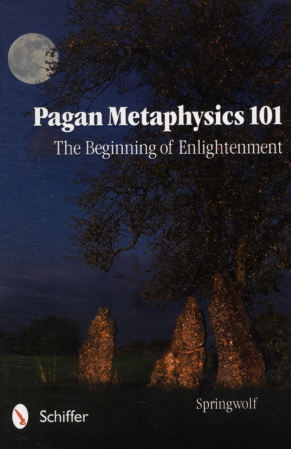 Pagan Metaphysics 101 : The Beginning of Enlightenment, Paperback / softback Book