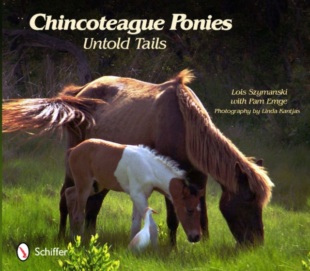 Chincoteague Ponies : Untold Tails, Paperback / softback Book