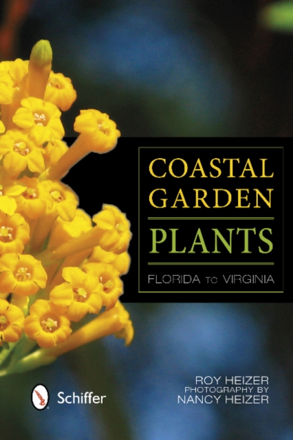 Coastal Garden Plants : Florida to Virginia, Paperback / softback Book