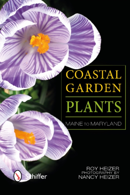 Coastal Garden Plants : Maine to Maryland, Paperback / softback Book