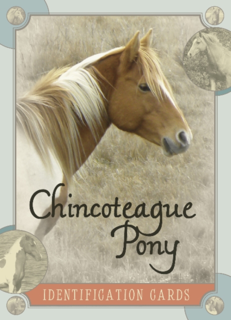 Chincoteague Pony Identification Cards, Paperback / softback Book