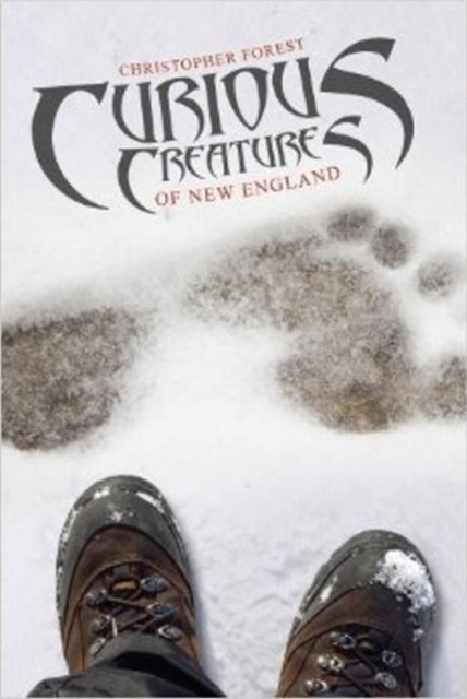 Curious Creatures of New England, Paperback / softback Book
