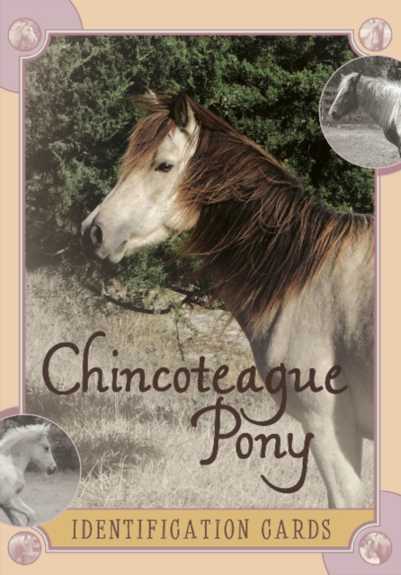 Chincoteague Pony Identification Cards: Set 2, Paperback / softback Book