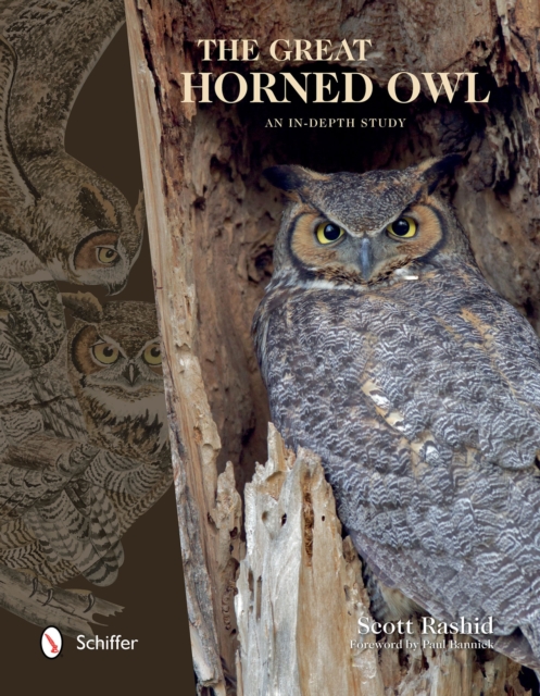 The Great Horned Owl : An In-depth Study, Hardback Book