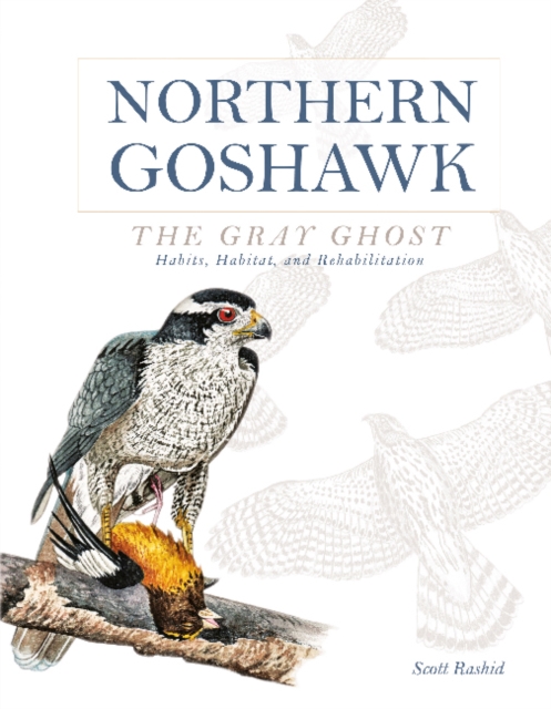 Northern Goshawk, the Gray Ghost : Habits, Habitat, and Rehabilitation, Hardback Book