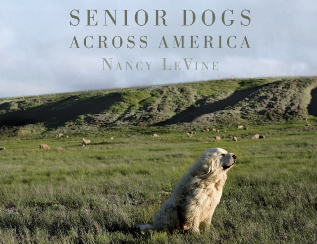 Senior Dogs Across America, Hardback Book