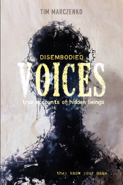 Disembodied Voices : True Accounts of Hidden Beings, Hardback Book