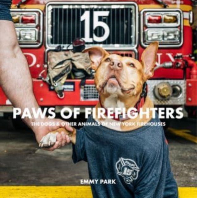 Paws of Firefighters : The Dogs & Other Animals of New York Firehouses, Hardback Book