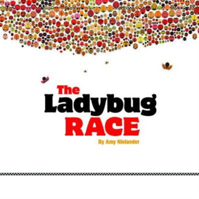 The Ladybug Race, Hardback Book