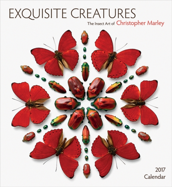 Exquisite Creatures : The Insect Art of Christopher Marley 2017 Wall Calendar, Calendar Book