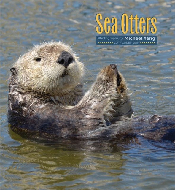 Sea Otters 2017 Wall Calendar, Calendar Book