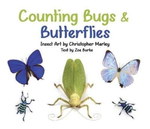Counting Bugs & Butterflies Insect Art by Christopher Marley Board Book, Board book Book
