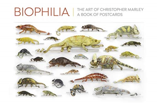 Biophilia the Art of Christopher Marley, Postcard book or pack Book