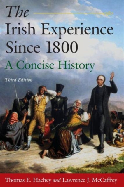 The Irish Experience Since 1800: A Concise History : A Concise History, Paperback / softback Book