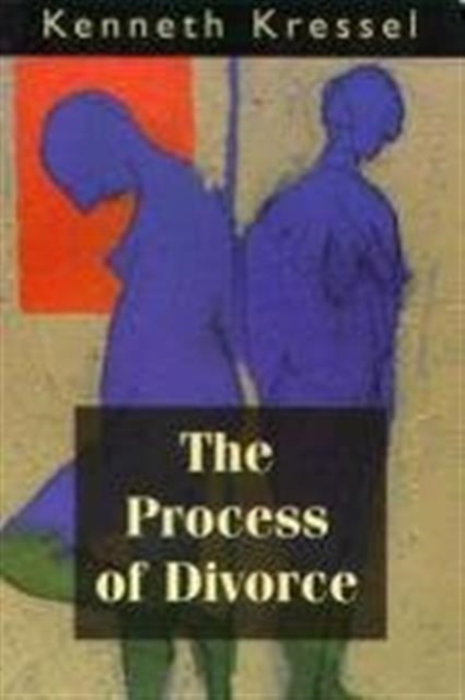 The Process of Divorce : Helping Couples Negotiate Settlements, Paperback / softback Book