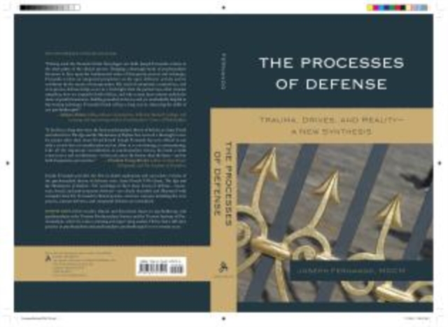The Processes of Defense : Trauma, Drives, and Reality A New Synthesis, Hardback Book