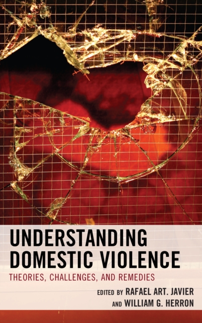 Understanding Domestic Violence : Theories, Challenges, and Remedies, Hardback Book