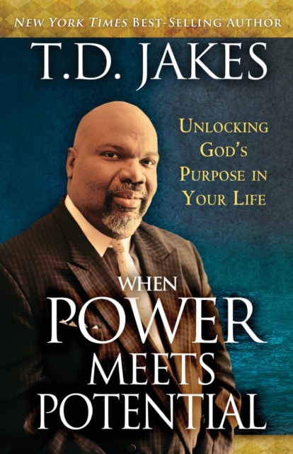 When Power Meets Potential, Paperback / softback Book