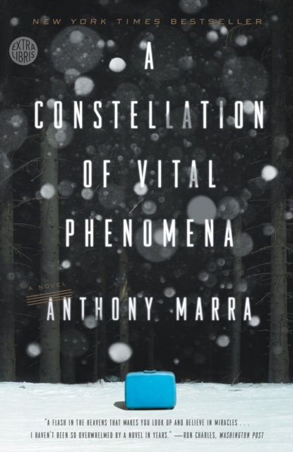 A Constellation of Vital Phenomena : A Novel, Paperback / softback Book