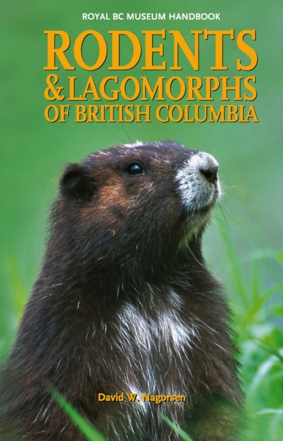 Rodents and Lagomorphs of British Columbia, Paperback / softback Book