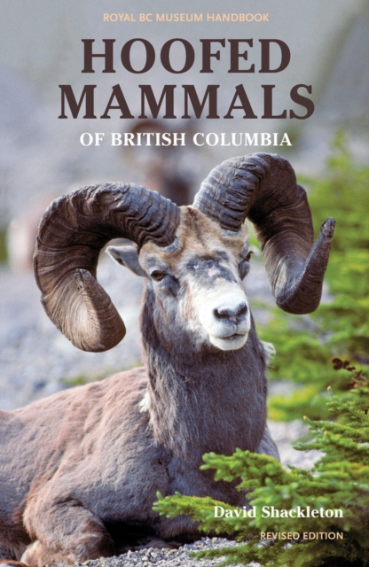 Hoofed Mammals of British Columbia, Paperback / softback Book
