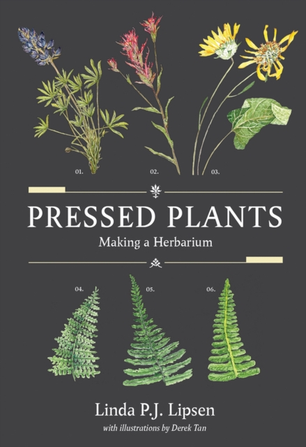 Pressed Plants : Making a Herbarium, Paperback / softback Book