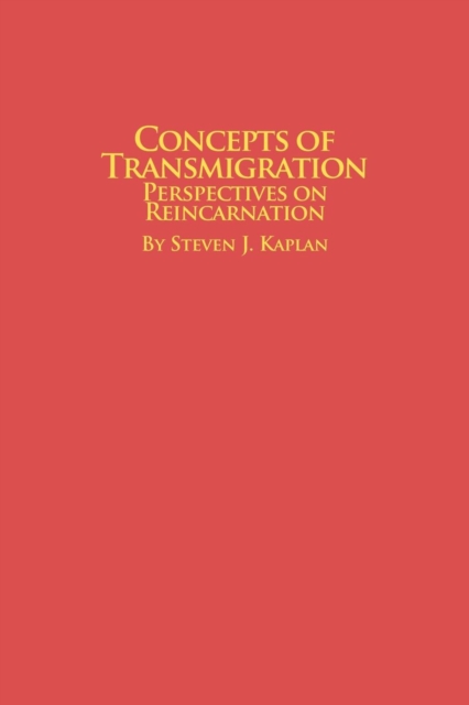 Concepts of Transmigration Perspectives on Reincarnation, Paperback / softback Book