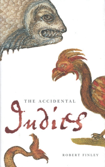 The Accidental Indies, Paperback / softback Book