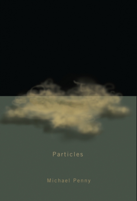 Particles : Volume 23, Paperback / softback Book