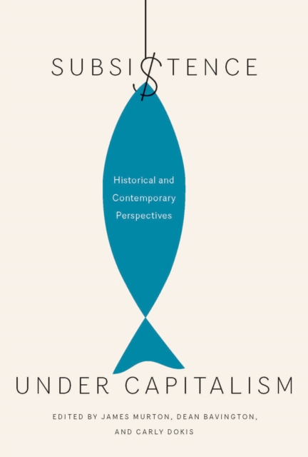 Subsistence under Capitalism : Historical and Contemporary Perspectives Volume 4, Hardback Book