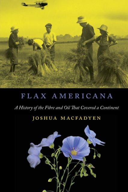 Flax Americana : A History of the Fibre and Oil that Covered a Continent Volume 10, Paperback / softback Book